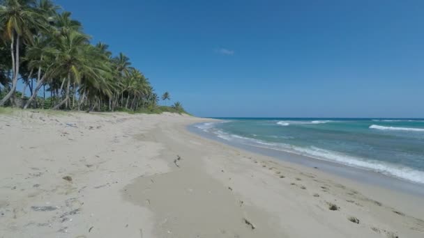 Maravillosa playa caribeña — Vídeo de stock