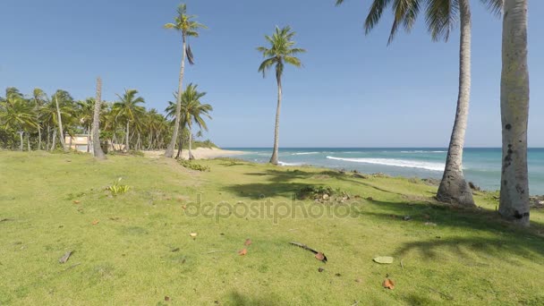Maravilhosa praia caribenha — Vídeo de Stock