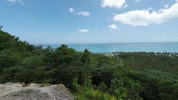 Mirador en samana — Vídeos de Stock