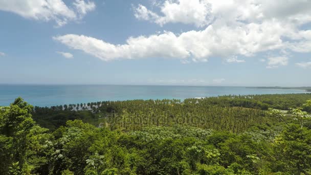 Increíble playa tropical — Vídeo de stock