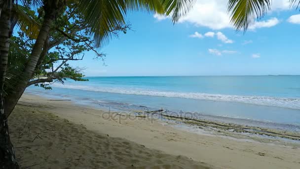 Praia tropical incrível — Vídeo de Stock