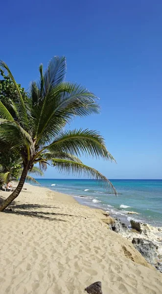 La República Dominicana — Foto de Stock