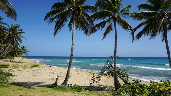 Tropická hideaway beach — Stock fotografie