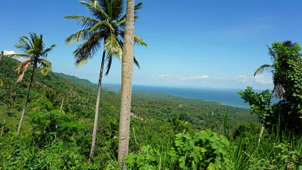 La repubblica dominicana — Foto Stock