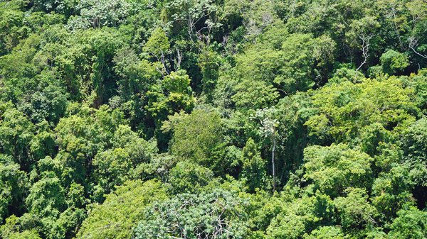 the dominican republic