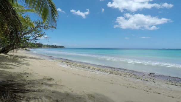 Caribbean beach in the dominican republic — Stock Video