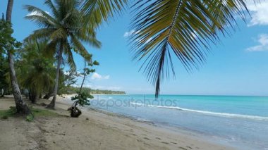 Dominik Cumhuriyeti'ndeki Caribbean beach