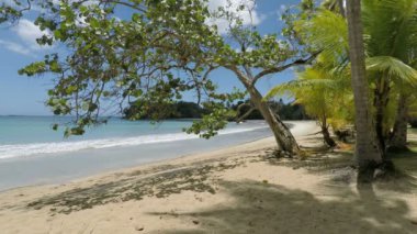 Dominik Cumhuriyeti'ndeki Caribbean beach