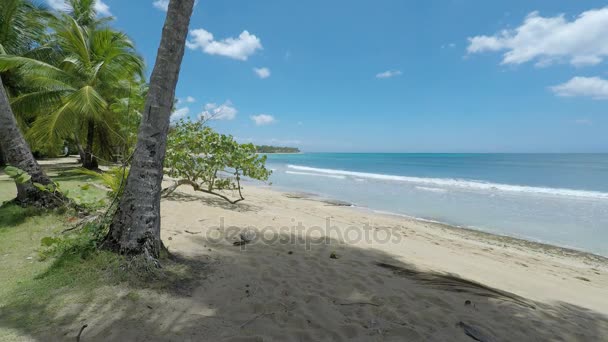 Praia do Caribe na República Dominicana — Vídeo de Stock