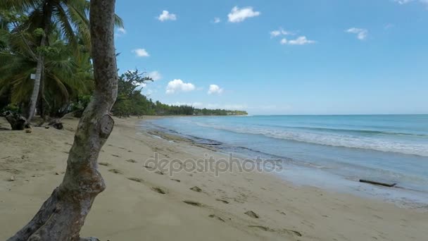 Praia Bonita praia — Vídeo de Stock