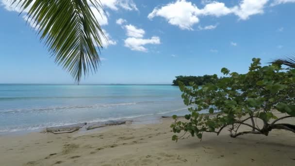 Playa Bonita beach — Stok video