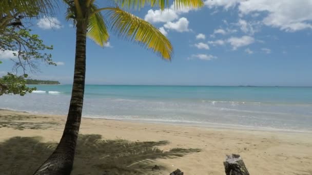 Plaży Playa Bonita — Wideo stockowe