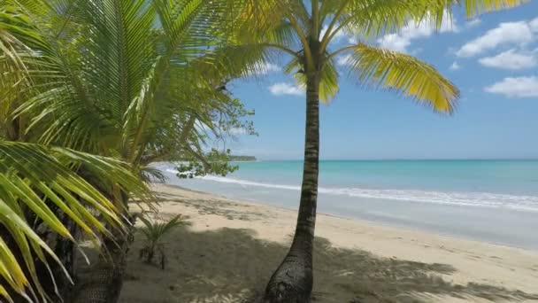 Playa Bonita beach — Stok video