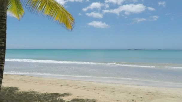 Пляж Playa Bonita — стоковое видео