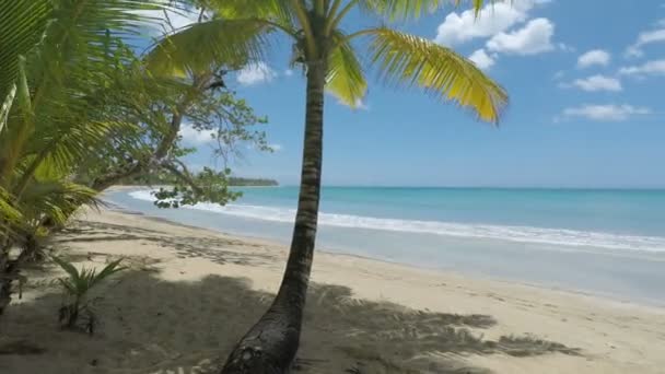 Playa bonita beach — Stock Video