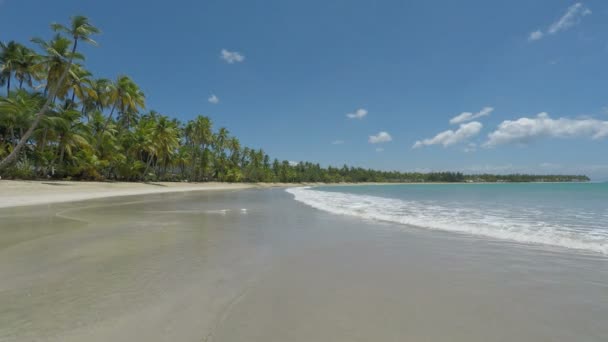 Praia incrível do Caribe — Vídeo de Stock