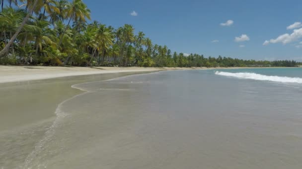 Incredibile spiaggia caraibica — Video Stock