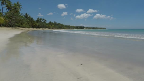 Geweldige Caribische strand — Stockvideo