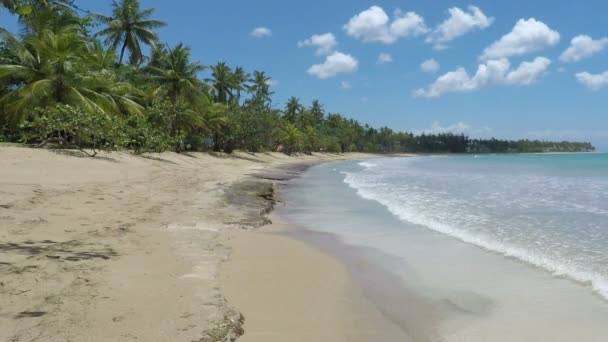 Incredibile spiaggia caraibica — Video Stock