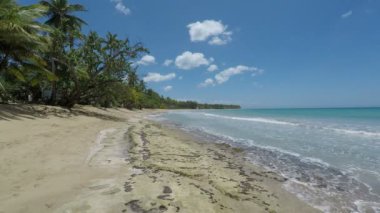 Şaşırtıcı Caribbean beach