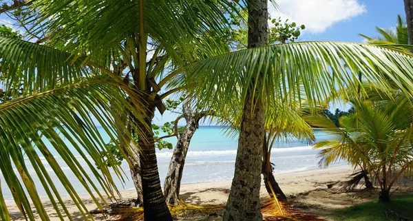 Egzotik Dominik Cumhuriyeti — Stok fotoğraf
