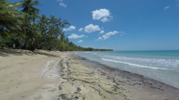 Exotischer tropischer Strand — Stockvideo