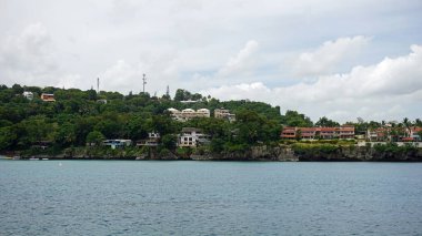 tropikal Dominik Cumhuriyeti