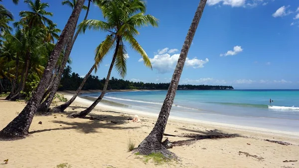 República Dominicana tropical — Foto de Stock