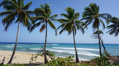 tropikal hideaway beach