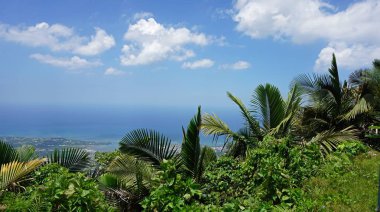 egzotik dominicean Cumhuriyeti