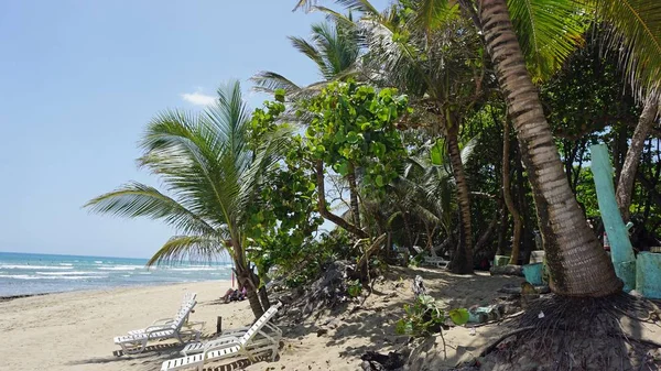 Tropical hideaway beach — стоковое фото