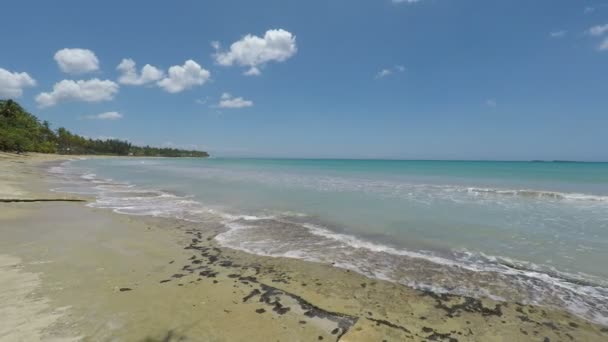 Perfecte natuurlijke Caribische strand — Stockvideo