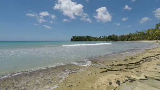 Praia caribenha natural perfeita — Vídeo de Stock