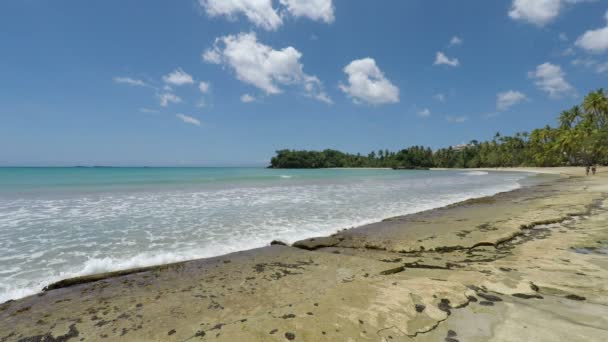 Perfecta playa natural caribeña — Vídeo de stock