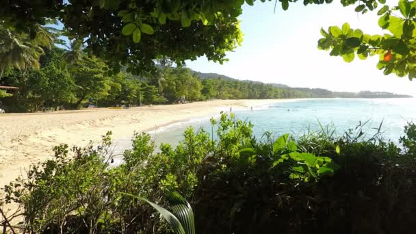 完璧な自然のカリブ海ビーチ — ストック動画