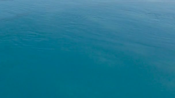 se détendre dans un jacuzzi 