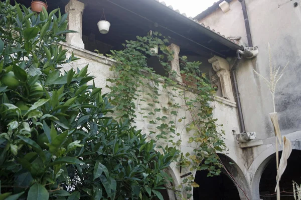 Église dans la ville croate de trogir — Photo