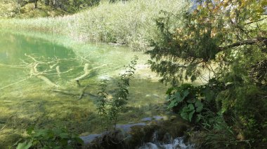 plitvice gölleri, Hırvatistan, muhteşem manzara