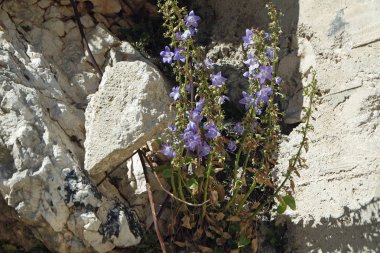 dubrovnik Hırvatistan alan dağ görünümünde