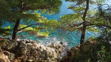 Hırvat şaşırtıcı doğal beach şehir dubrovnik