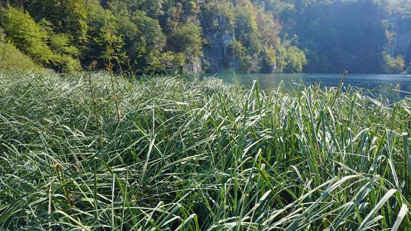 Verbazingwekkende landschap aan de Plitvicemeren in Kroatië — Stockfoto