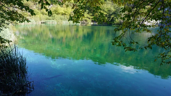 Increíble paisaje en los lagos de plitvice en Croacia —  Fotos de Stock