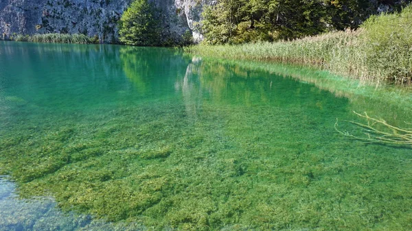 Csodálatos táj, a Plitvicei-tavak, Horvátország — Stock Fotó