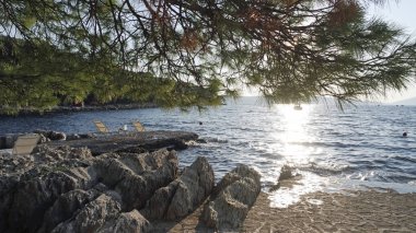 marjan Hırvatistan tipik peyzaj 