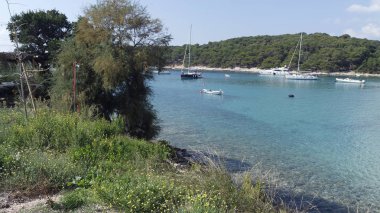 küçük liman palmizana hvar Adası