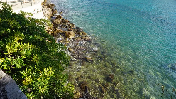 Hırvat şaşırtıcı doğal beach şehir dubrovnik — Stok fotoğraf