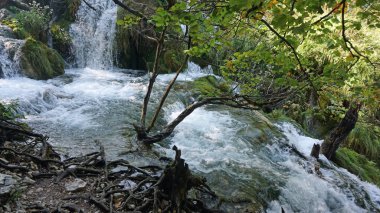 plitvice gölleri, Hırvatistan, muhteşem manzara