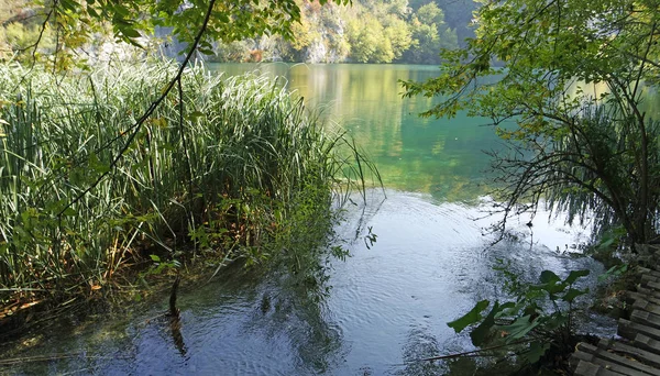 Csodálatos táj, a Plitvicei-tavak, Horvátország — Stock Fotó