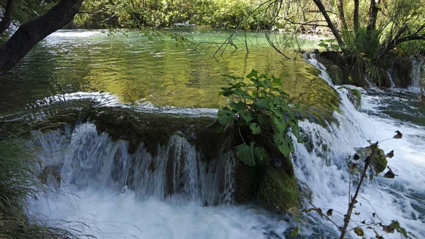 Csodálatos táj, a Plitvicei-tavak, Horvátország — Stock Fotó