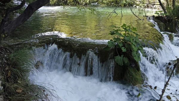 Εκπληκτικό τοπίο στο λιμνών plitvice στην Κροατία — Φωτογραφία Αρχείου